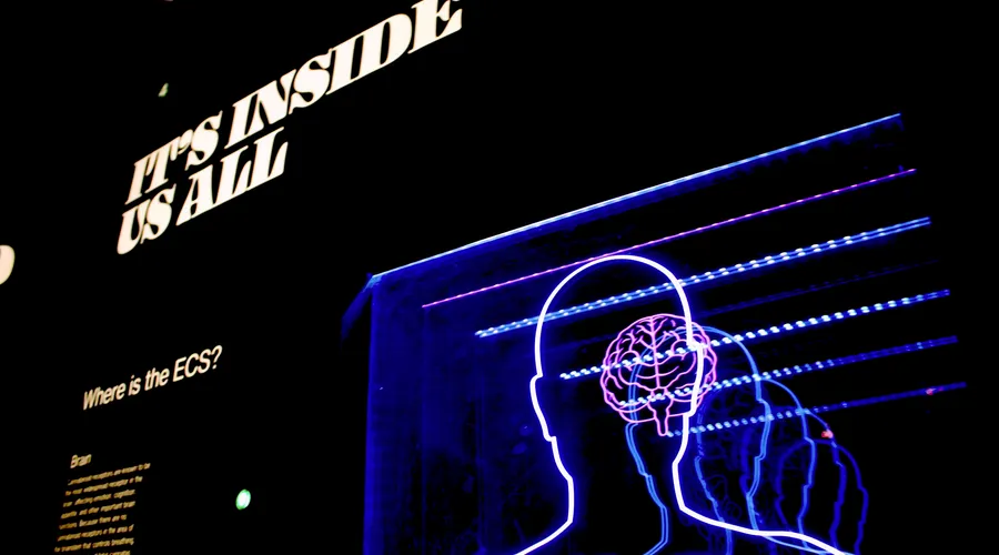 The Behavioral Moat: How Habits Become Fortunes