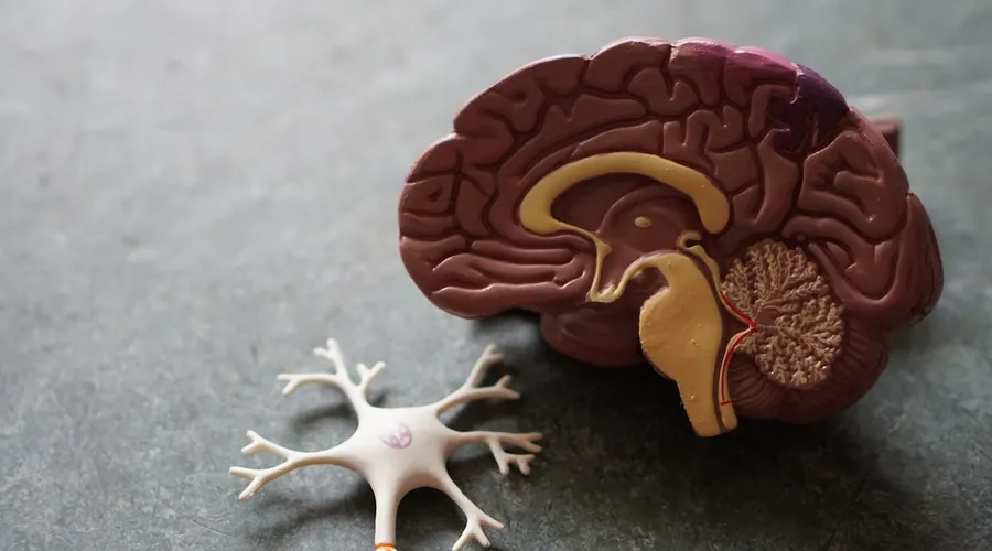 Business Psychology: The Science Behind Smarter Decisions