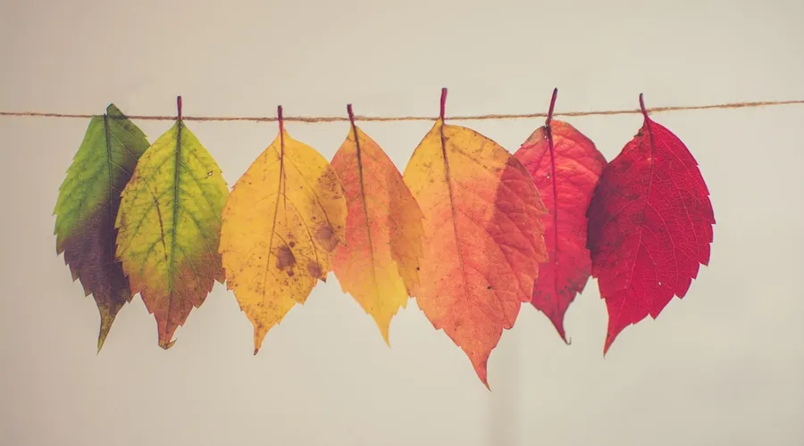 The Hidden Psychology of Organizational Change