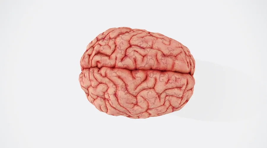 The Hidden Psychology of Talent